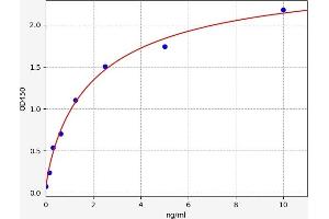 Typical standard curve (Serotonin Receptor 1A ELISA Kit)