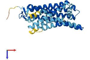 AlphaFold protein structure predicition of Human Recombinant OR5M11 Protein, UniprotID Q96RB7 (OR5M11 Protein (AA 1-305) (His tag))