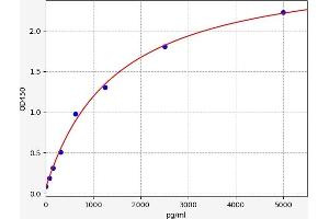 Typical standard curve (Ret Proto-Oncogene ELISA Kit)