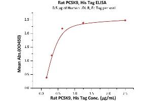 Immobilized Human LDL R, Fc Tag (ABIN4949128,ABIN4949129) at 5 μg/mL (100 μL/well) can bind Rat PCSK9, His Tag (ABIN2181592,ABIN2181591) with a linear range of 0. (PCSK9 Protein (AA 31-691) (His tag))