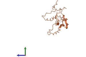 AlphaFold protein structure predicition of Human Recombinant KRTAP2-3 Protein, UniprotID P0C7H8 (KRTAP2-3 Protein (AA 1-128) (His tag))