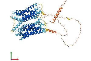 Protein Structure (PS) image for Otopetrin 1 (OTOP1) (AA 1-600) protein (His tag) (ABIN7558365)