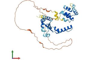 AlphaFold protein structure predicition of Mouse Recombinant Dedd2 Protein, UniprotID Q8QZV0