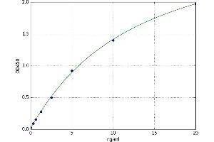 Lectin, Galactoside-Binding, Soluble, 12 (LGALS12) ELISA Kit