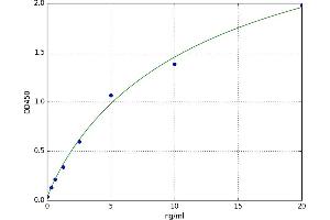 Reticulon 4 (RTN4) ELISA Kit