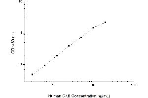 Typical standard curve (CKB ELISA Kit)
