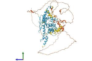 AlphaFold protein structure predicition of Human Recombinant ZNF202 Protein, UniprotID O95125