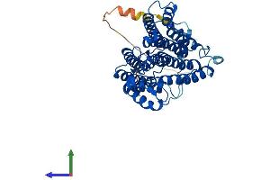 Protein Structure (PS) image for Choline/ethanolamine phosphotransferase 1 (CEPT1) (AA 1-416) protein (His tag) (ABIN7558581)