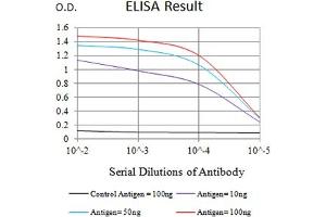 Black line: Control Antigen (100 ng),Purple line: Antigen (10 ng), Blue line: Antigen (50 ng), Red line:Antigen (100 ng) (JAG1 antibody  (AA 47-212))