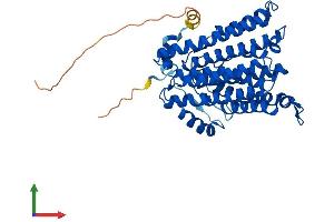 Protein Structure (PS) image for Choline/ethanolamine phosphotransferase 1 (CEPT1) (AA 1-416) protein (His tag) (ABIN7558581)