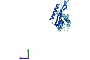 AlphaFold protein structure predicition of Mouse Recombinant Kcnmb2 Protein, UniprotID Q9CZM9
