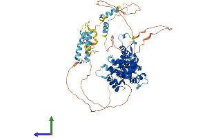 Protein Structure (PS) image for Fidgetin-Like 1 (FIGNL1) (AA 1-674) protein (His tag) (ABIN7547611)