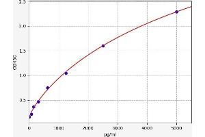 Dickkopf-Like 1 (DKKL1) ELISA Kit