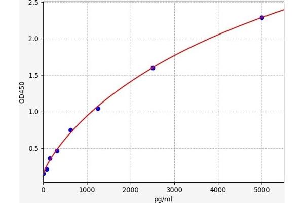 Dickkopf-Like 1 (DKKL1) ELISA Kit