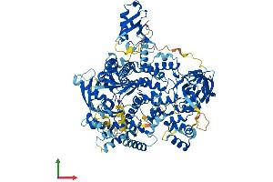 AlphaFold protein structure predicition of Human Recombinant PIK3CD Protein, UniprotID O00329 (PIK3CD Protein (AA 1-1044) (His tag))