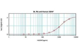 Image no. 1 for anti-Glial Cell Line Derived Neurotrophic Factor (GDNF) antibody (Biotin) (ABIN465546) (GDNF antibody  (Biotin))