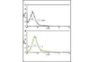 Flow Cytometry (FACS) image for anti-Protein tyrosine Phosphatase, Receptor Type, C (PTPRC) (AA 1245-1275), (C-Term) antibody (ABIN5533903)