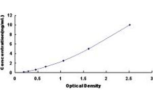 Typical standard curve (CELSR2 ELISA Kit)