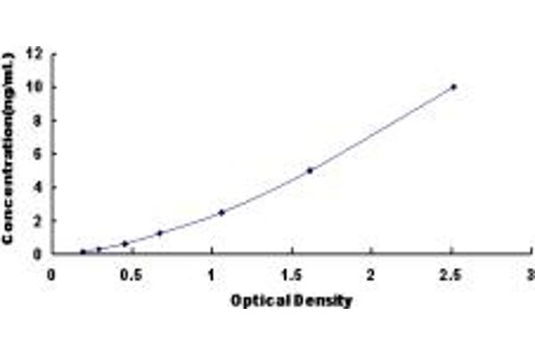 CELSR2 ELISA Kit