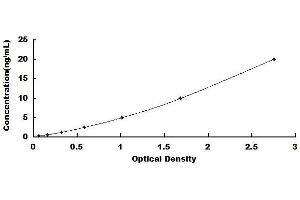 GSDMD ELISA Kit