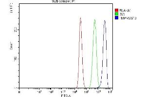 Flow Cytometry analysis of MCF-7 cells using anti-TMPRSS13 antibody (ABIN7599797). (TMPRSS13 antibody  (AA 118-572))