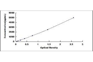 Typical standard curve (AGXT2 ELISA Kit)