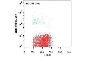 Flow Cytometry (FACS) image for anti-V-Akt Murine Thymoma Viral Oncogene Homolog 3 (Protein Kinase B, Gamma) (AKT3) (Internal Region) antibody (APC) (ABIN5596894)