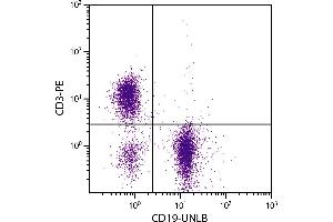 BALB/c mouse splenocytes were stained with Rat Anti-Mouse CD19-UNLB. (CD19 antibody)