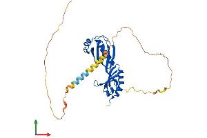 AlphaFold protein structure predicition of Mouse Recombinant Tbp Protein, UniprotID P29037 (TBP Protein (AA 1-316) (His tag))