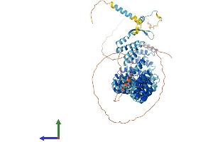 AlphaFold protein structure predicition of Human Recombinant CRNKL1 Protein, UniprotID Q9BZJ0