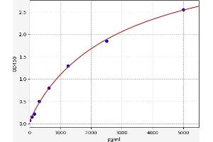 Chemokine (C-C Motif) Ligand 20 (CCL20) ELISA Kit