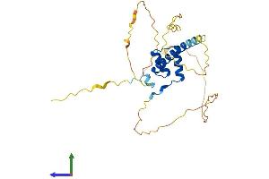 AlphaFold protein structure predicition of Human Recombinant HMX2 Protein, UniprotID A2RU54