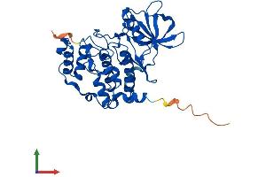 AlphaFold protein structure predicition of Human Recombinant CSNK2A2 Protein, UniprotID P19784 (CSNK2A2 Protein (AA 1-350) (His tag))
