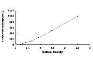 ELISA image for Transforming Growth Factor, beta 3 (TGFB3) ELISA Kit (ABIN431271)