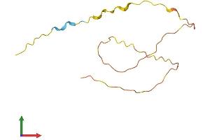AlphaFold protein structure predicition of Human Recombinant LCE1E Protein, UniprotID Q5T753 (LCE1E Protein (AA 1-118) (His tag))