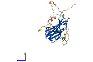 Protein Structure (PS) image for Regulating Synaptic Membrane Exocytosis 4 (RIMS4) (AA 1-269) protein (His tag) (ABIN7551387)