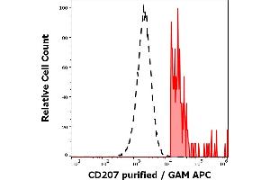 Separation of human CD64 positive CD207 positive cells (red-filled) from CD64 negative CD207 negative cells (black-dashed) in flow cytometry analysis (intracellular staining) of human stimulated (GM-CSF + IL-4 + TGF-beta) peripheral blood mononuclear cells stained using anti-human CD207 (2G3) purified antibody (concentration in sample 0. (CD207 antibody)