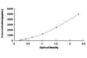 Chloride Intracellular Channel 4 (CLIC4) ELISA Kit