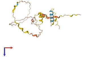 AlphaFold protein structure predicition of Human Recombinant PRORY Protein, UniprotID Q9H606 (CYORF17 Protein (AA 1-182) (His tag))
