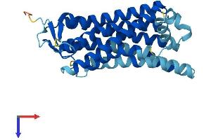 Olfactory Receptor, Family 4, Subfamily C, Member 3 (OR4C3) (AA 1-302) protein (His tag)