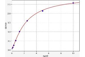 NFKB2 ELISA Kit