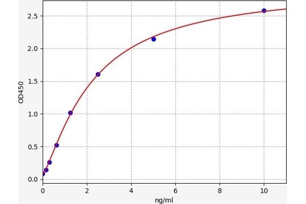 NFKB2 ELISA Kit