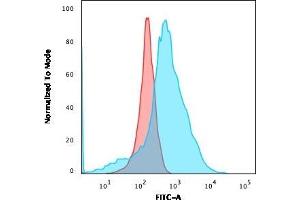 Flow Cytometric Analysis of K562 cells using GLUT-1 Mouse Monoclonal Antibody (GLUT1/2475) followed by goat anti-Mouse IgG-CF488 (Blue); Isotype Control (Red). (GLUT1 antibody  (AA 203-305))