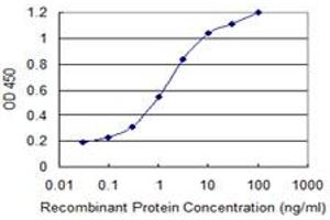 Detection limit for recombinant GST tagged TRPV1 is 0. (TRPV1 antibody  (AA 21-124))