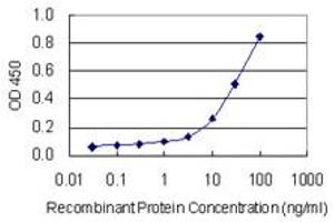 Detection limit for recombinant GST tagged RAMP2 is 1 ng/ml as a capture antibody. (RAMP2 antibody  (AA 58-145))