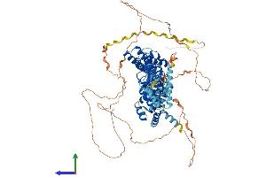 AlphaFold protein structure predicition of Human Recombinant HCN2 Protein, UniprotID Q9UL51 (HCN2 Protein (AA 1-889) (His tag))