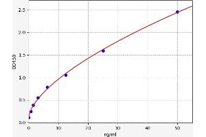 Typical standard curve (GNB3 ELISA Kit)