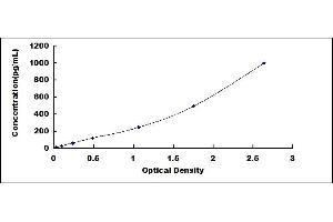 Typical standard curve