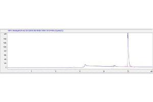 Image no. 1 for Osteocalcin (BGLAP) peptide (Ovalbumin) (ABIN5666315) (Osteocalcin (BGLAP) peptide (Ovalbumin))