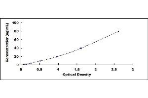 Typical standard curve (SCG2 ELISA Kit)